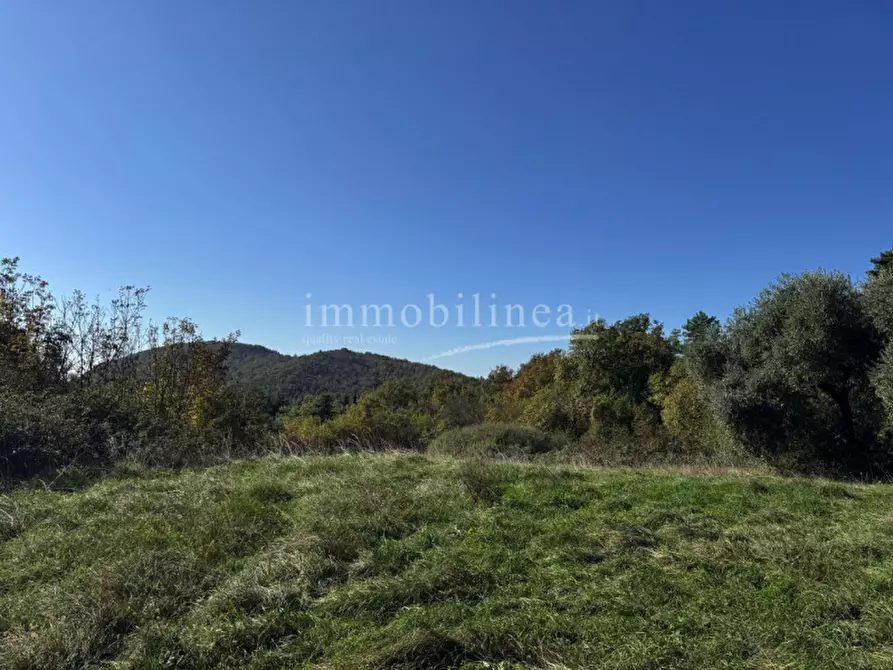 Immagine 14 di Hotel in vendita  in Zel a Costermano sul Garda