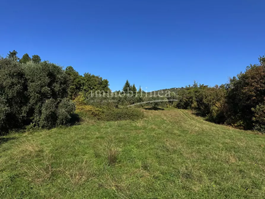 Immagine 16 di Hotel in vendita  in Zel a Costermano sul Garda