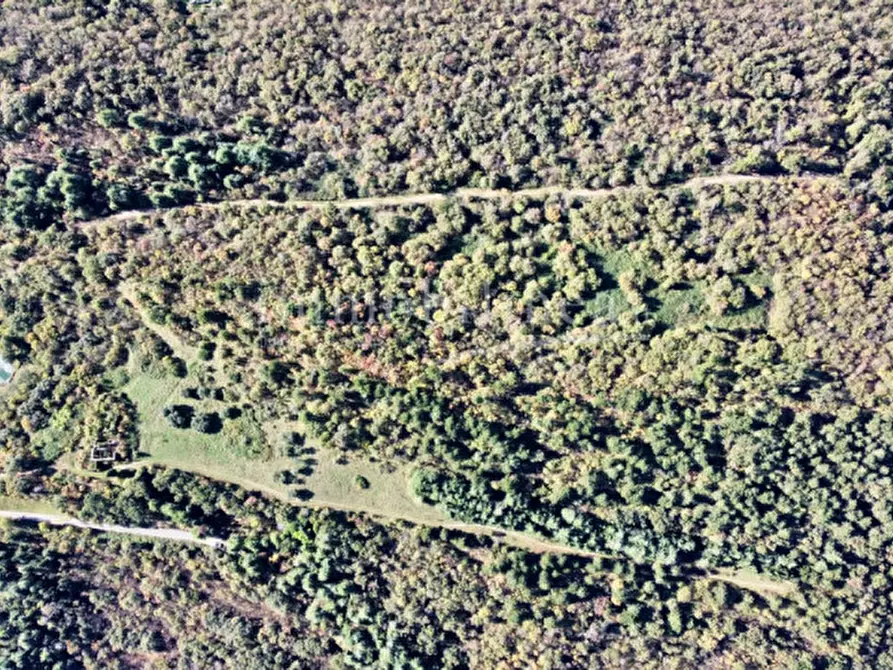 Immagine 19 di Hotel in vendita  in Zel a Costermano sul Garda