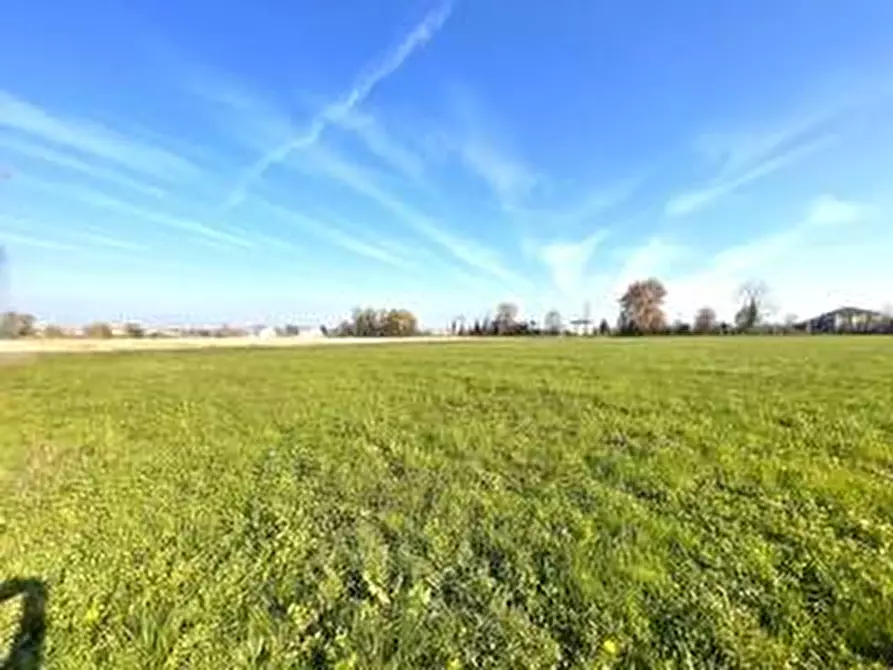 Immagine 6 di Terreno in vendita  a Piacenza D'adige