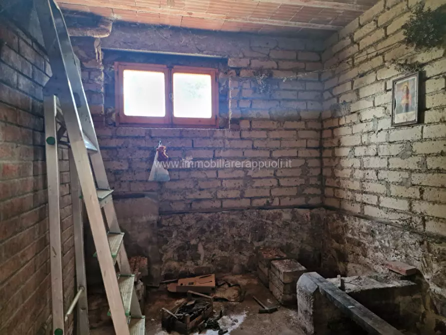 Immagine 14 di Villetta a schiera in vendita  a Sinalunga