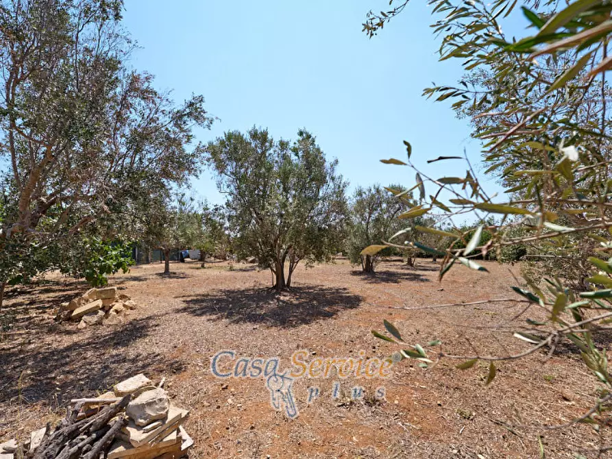 Immagine 10 di Villa in vendita  in Via conte di Torino a Racale