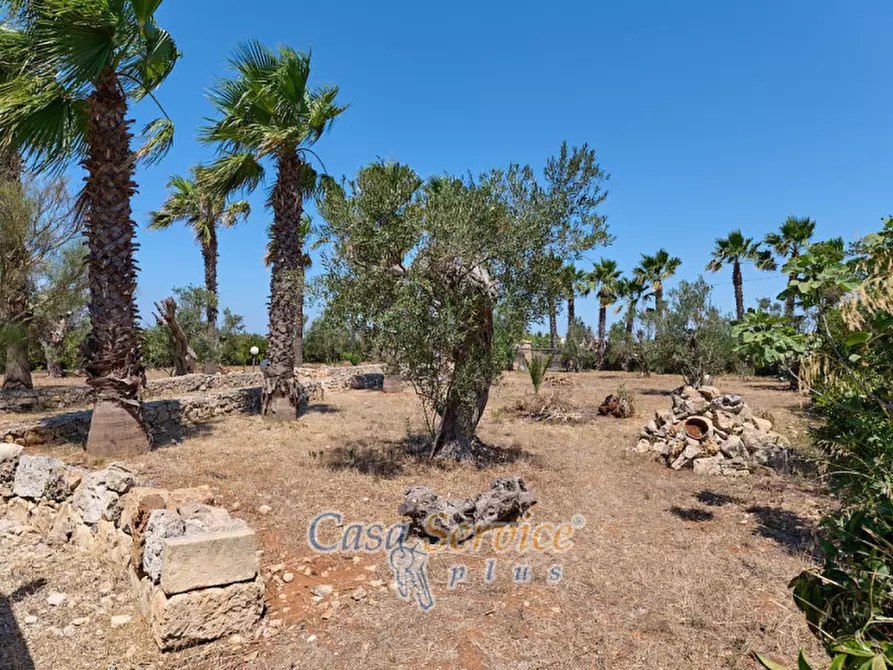 Immagine 65 di Villa in vendita  in Via conte di Torino a Racale