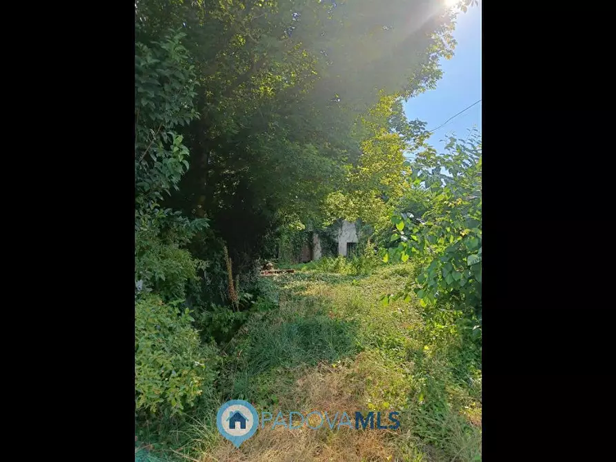 Immagine 3 di Villetta a schiera in vendita  in Via Rivella a Battaglia Terme