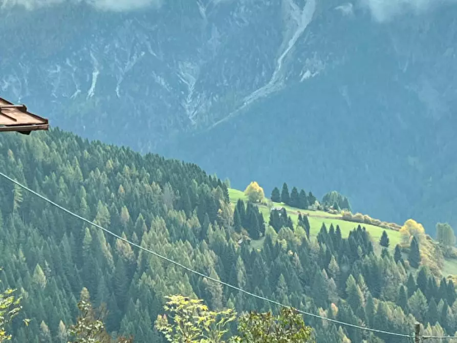 Immagine 27 di Appartamento in vendita  in Via Colonnello De Villa a San Pietro Di Cadore