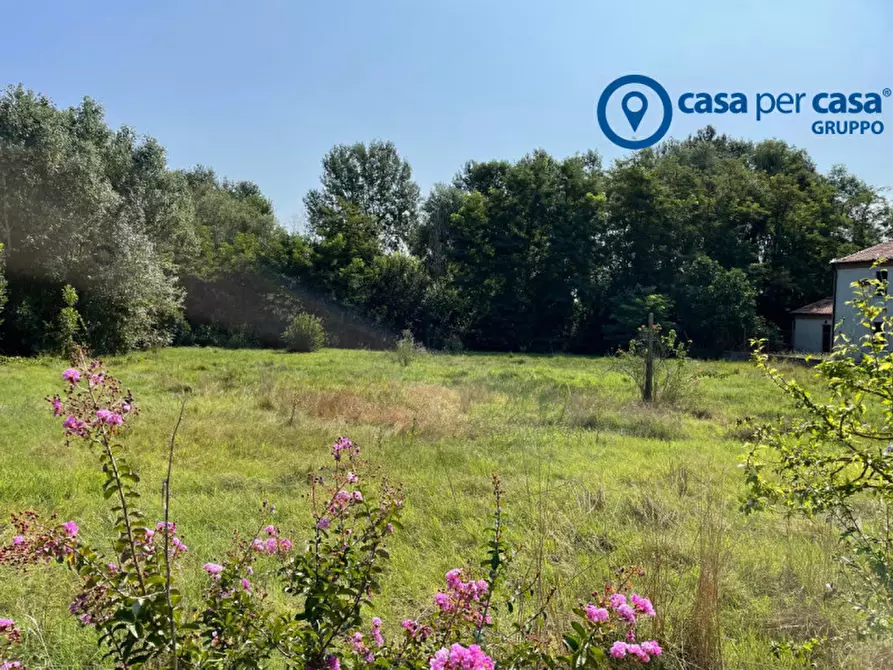 Immagine 1 di Terreno in vendita  in Via Cesare Battisti a Frassinelle Polesine