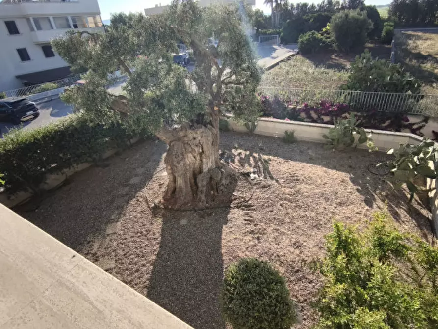 Immagine 36 di Villa in vendita  in CASAV a Fasano