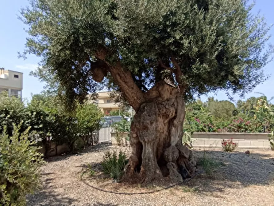 Immagine 63 di Villa in vendita  in CASAV a Fasano