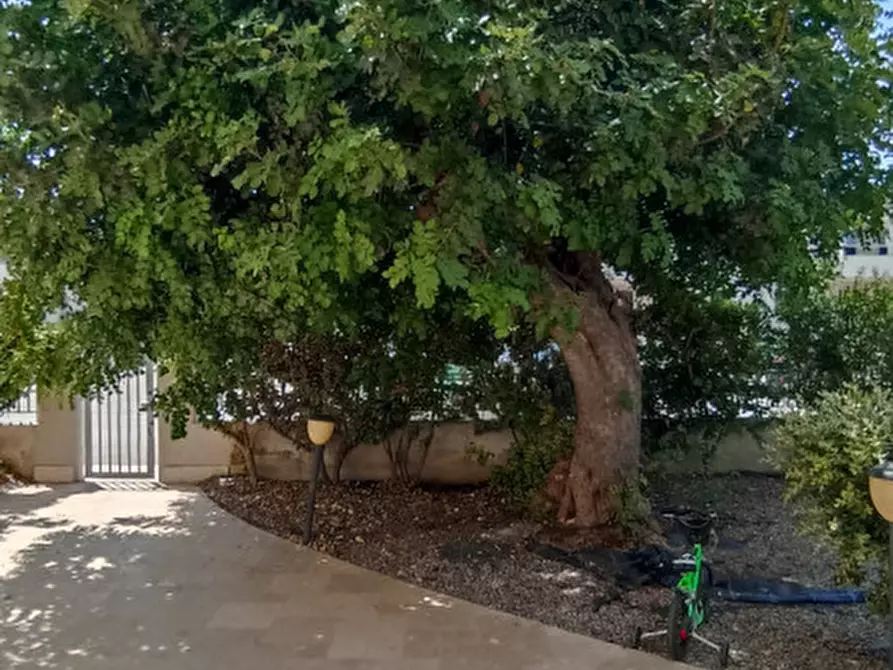 Immagine 64 di Villa in vendita  in CASAV a Fasano