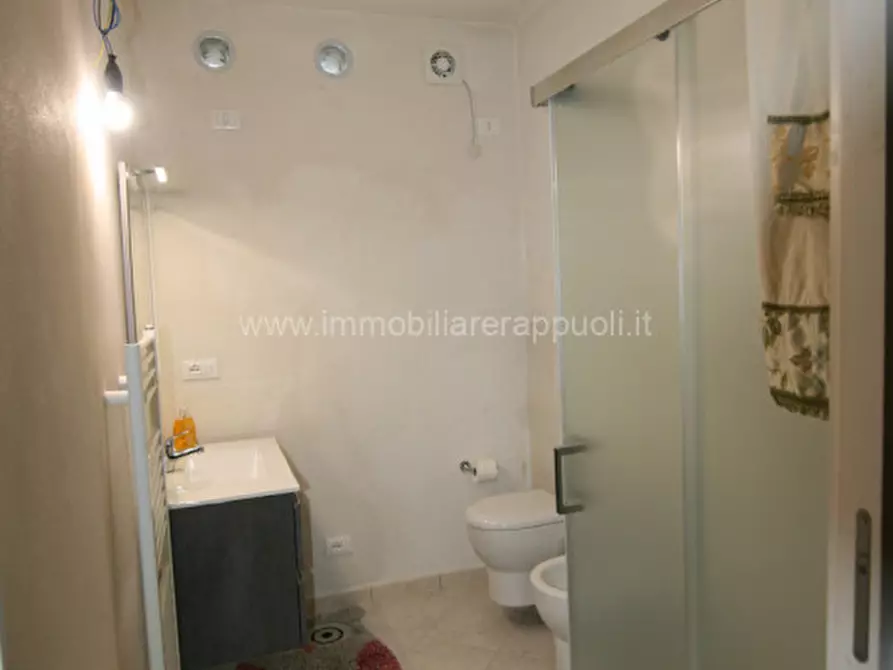 Immagine 8 di Rustico / casale in vendita  a Trequanda