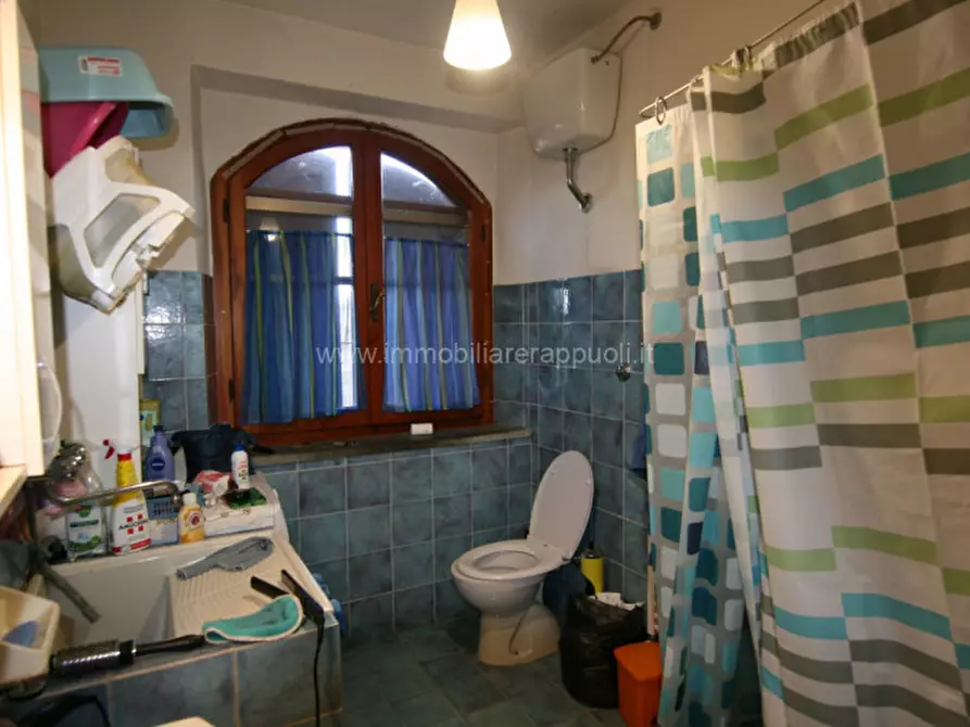 Immagine 9 di Rustico / casale in vendita  a Trequanda