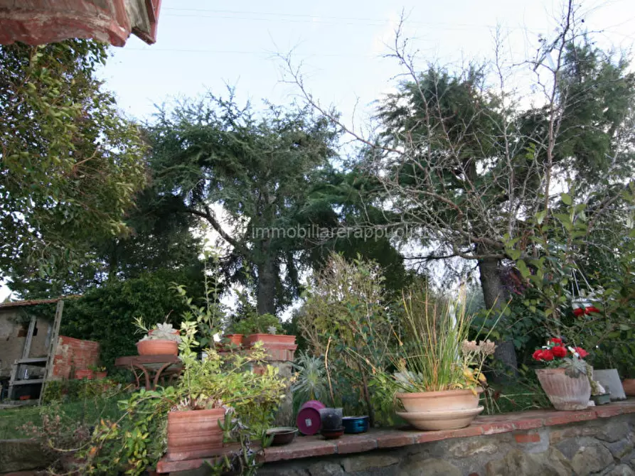 Immagine 10 di Rustico / casale in vendita  a Trequanda