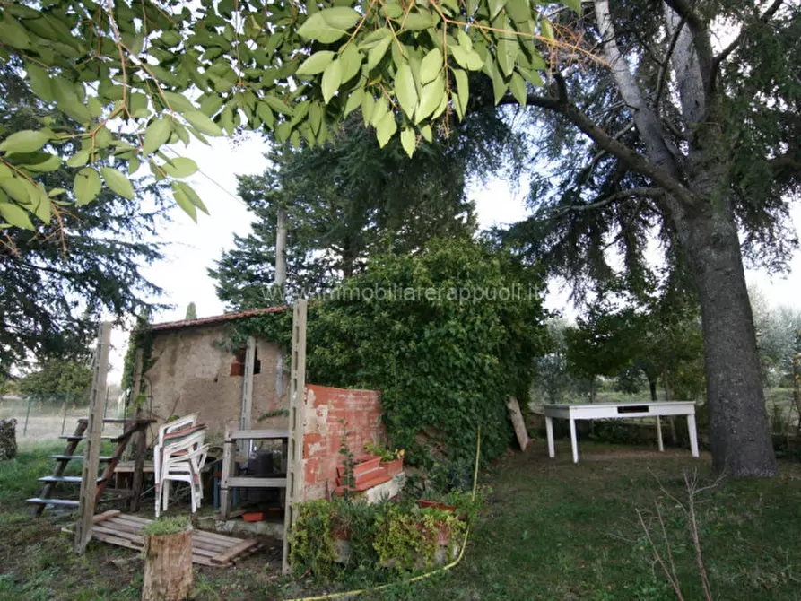 Immagine 11 di Rustico / casale in vendita  a Trequanda