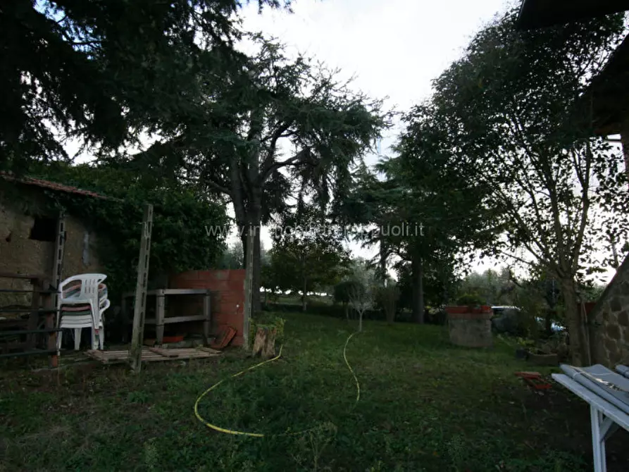 Immagine 13 di Rustico / casale in vendita  a Trequanda