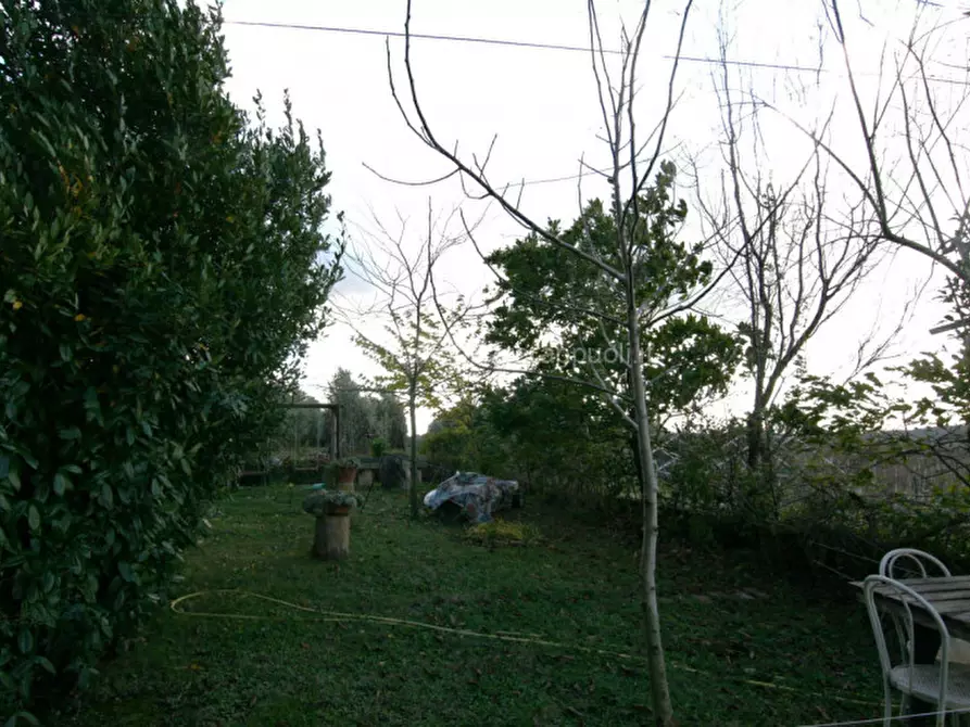 Immagine 14 di Rustico / casale in vendita  a Trequanda