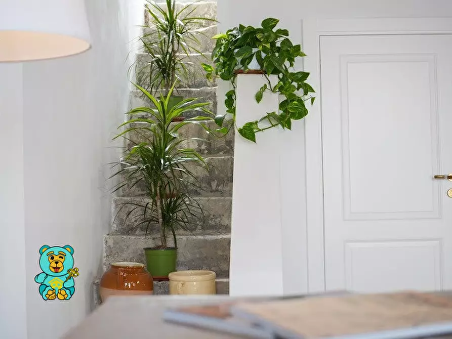 Immagine 9 di Casa indipendente in vendita  in via francesco arcudi a Soleto