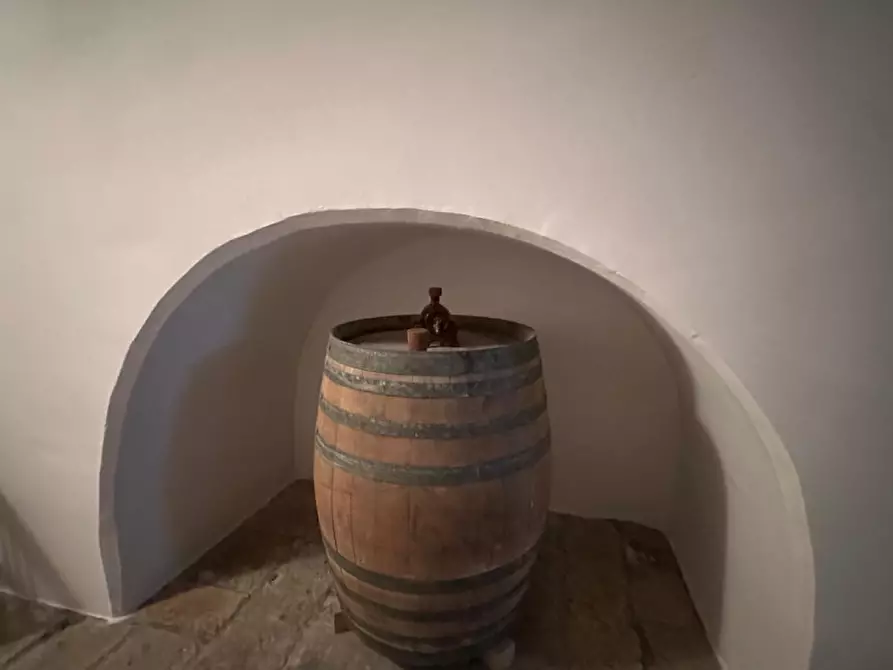 Immagine 33 di Casa indipendente in vendita  in via francesco arcudi a Soleto