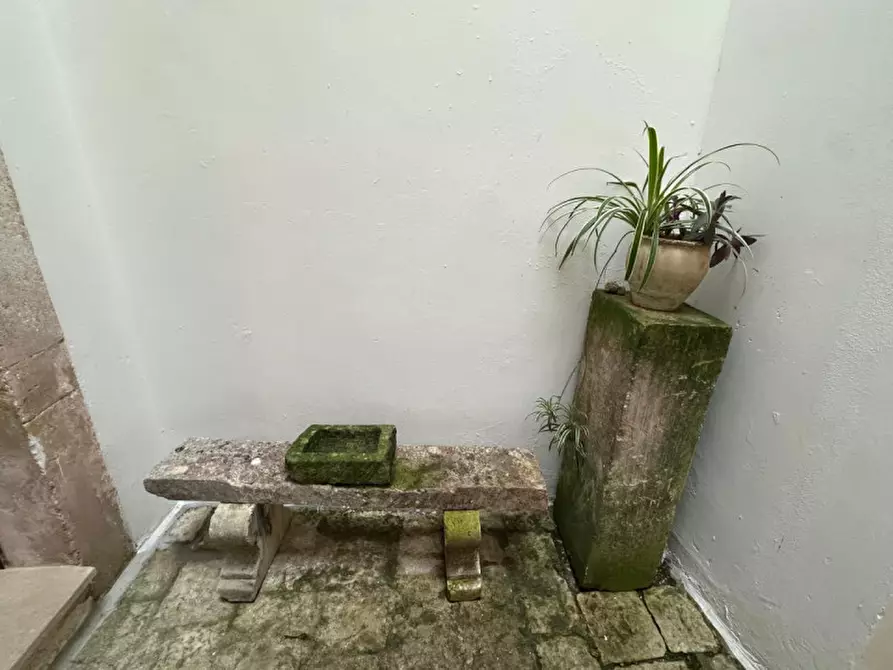 Immagine 61 di Casa indipendente in vendita  in via francesco arcudi a Soleto