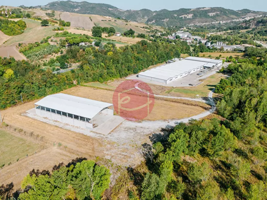 Immagine 3 di Capannone industriale in vendita  a San Leo