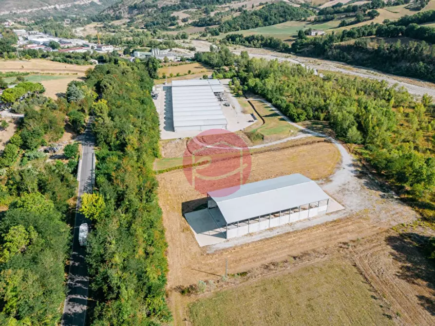 Immagine 4 di Capannone industriale in vendita  a San Leo