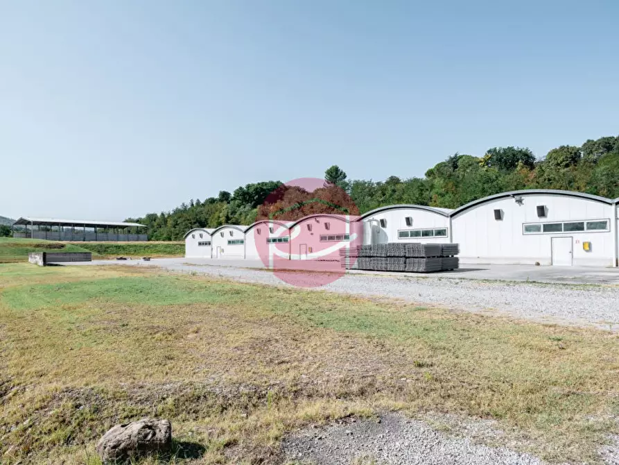 Immagine 8 di Capannone industriale in vendita  a San Leo