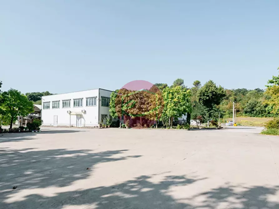 Immagine 11 di Capannone industriale in vendita  a San Leo