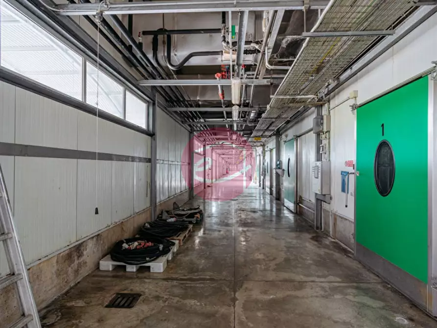 Immagine 16 di Capannone industriale in vendita  a San Leo