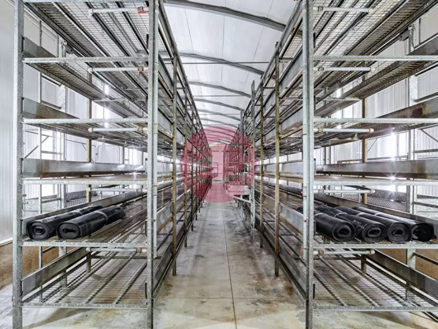 Immagine 17 di Capannone industriale in vendita  a San Leo
