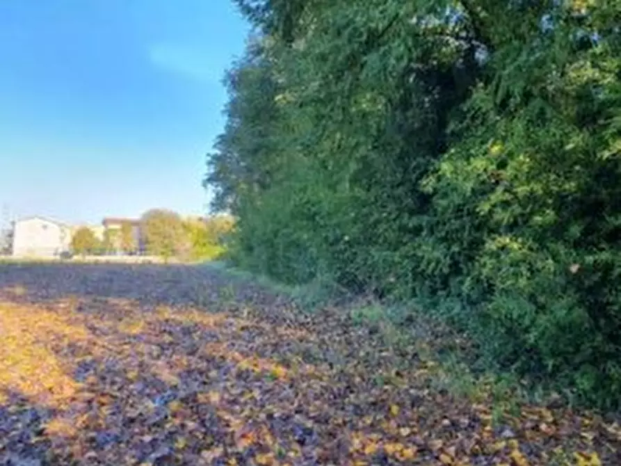 Immagine 1 di Terreno in vendita  in San Pelajo a Treviso