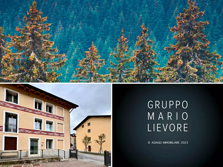 Immagine 23 di Appartamento in affitto  in Via Trento Trieste a Asiago