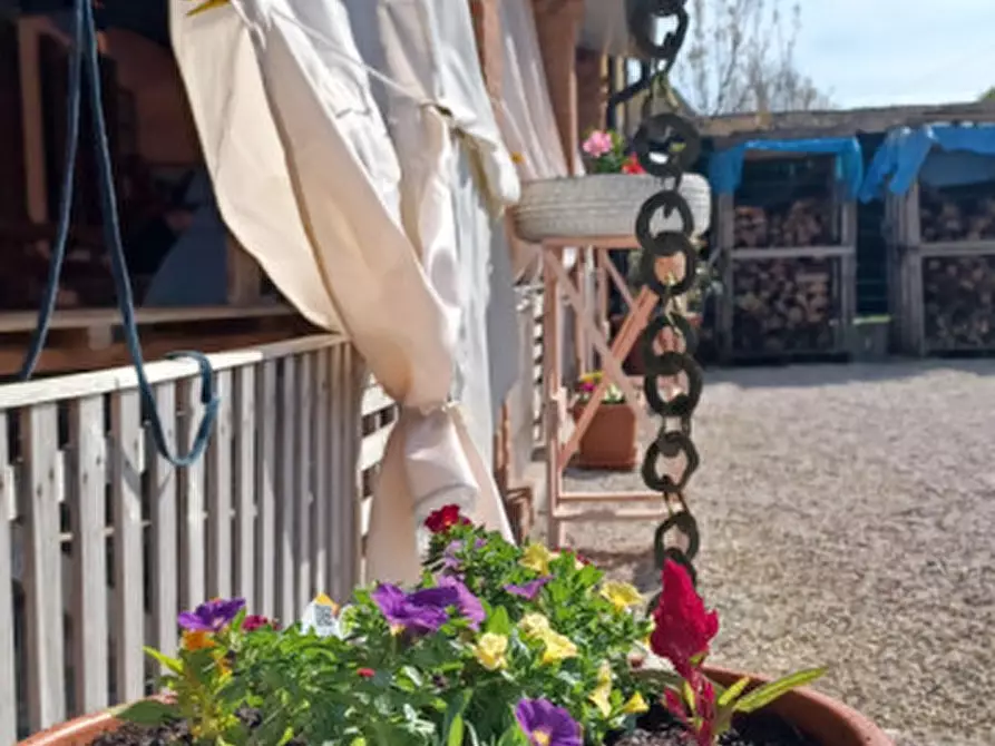 Immagine 8 di Rustico / casale in vendita  a Trecenta