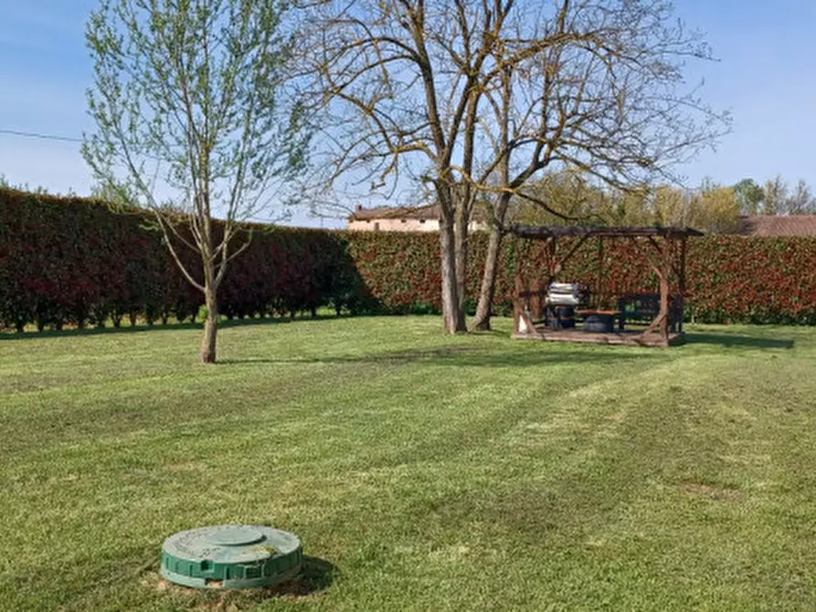 Immagine 9 di Rustico / casale in vendita  a Trecenta