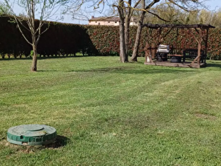 Immagine 28 di Rustico / casale in vendita  a Trecenta