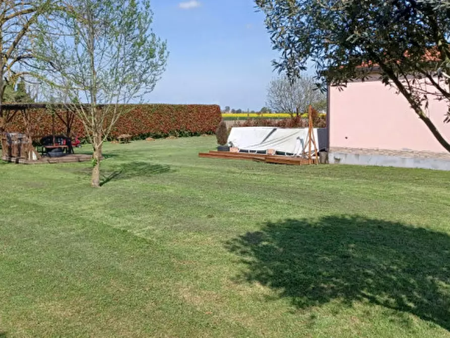 Immagine 31 di Rustico / casale in vendita  a Trecenta