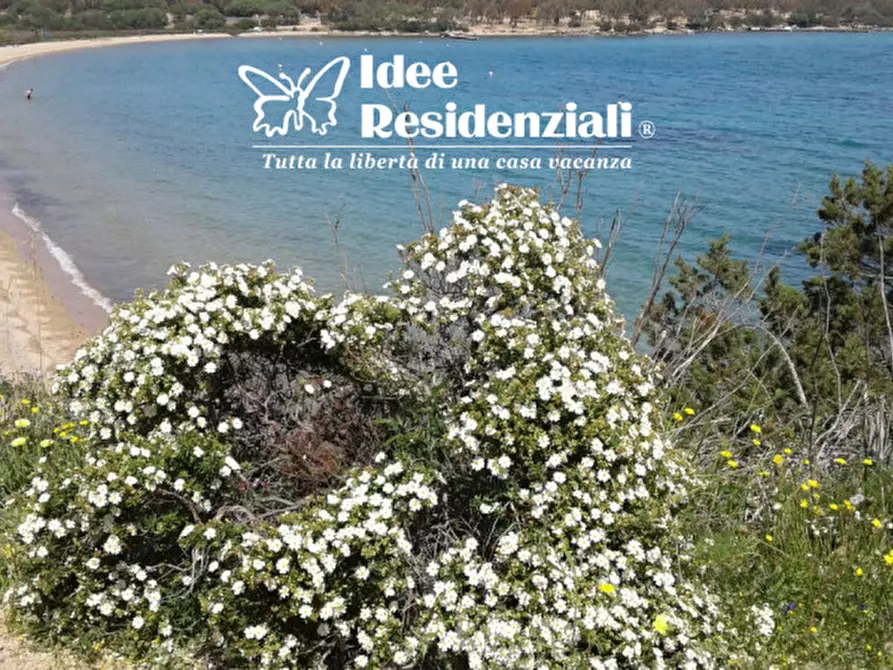 Immagine 14 di Appartamento in vendita  in via regina margherita a Palau