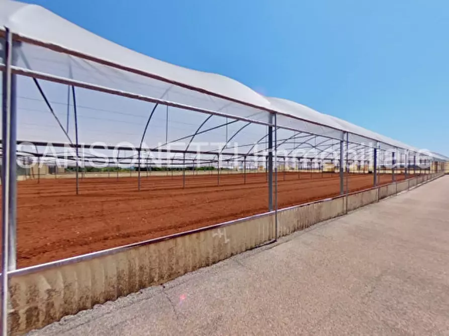 Immagine 56 di Villa in vendita  in Fascianello a Fasano