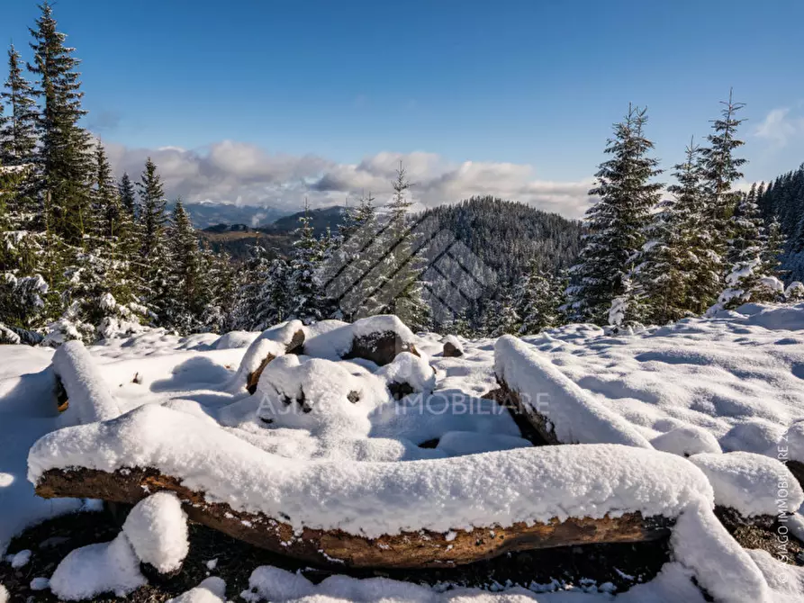 Immagine 7 di Appartamento in affitto  in Via Ceresara a Asiago