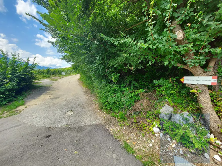 Immagine 4 di Attico in vendita  in S. Margherita 1/A a Ton