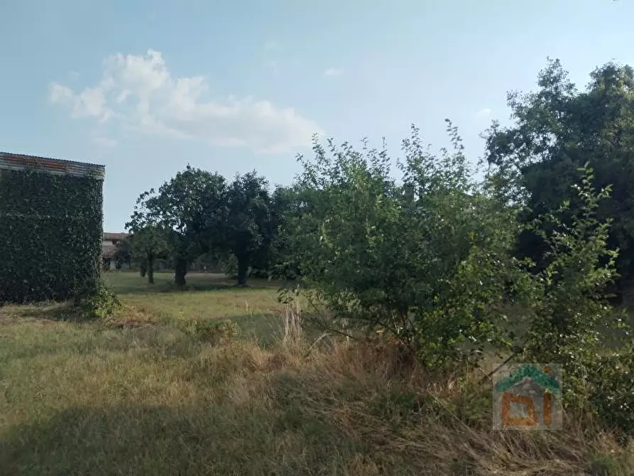 Immagine 1 di Rustico / casale in vendita  in via viola 6 a Santa Maria La Longa