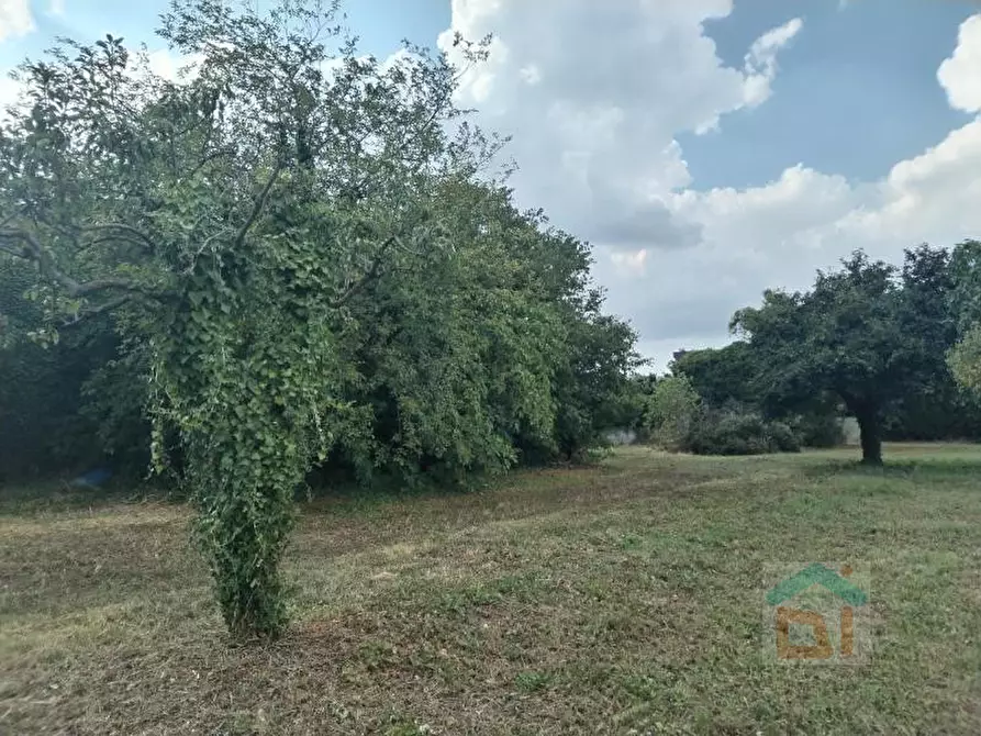 Immagine 13 di Rustico / casale in vendita  in via viola 6 a Santa Maria La Longa