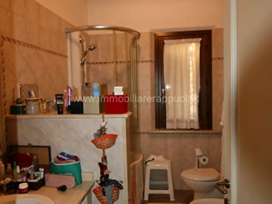 Immagine 6 di Appartamento in vendita  a Sinalunga