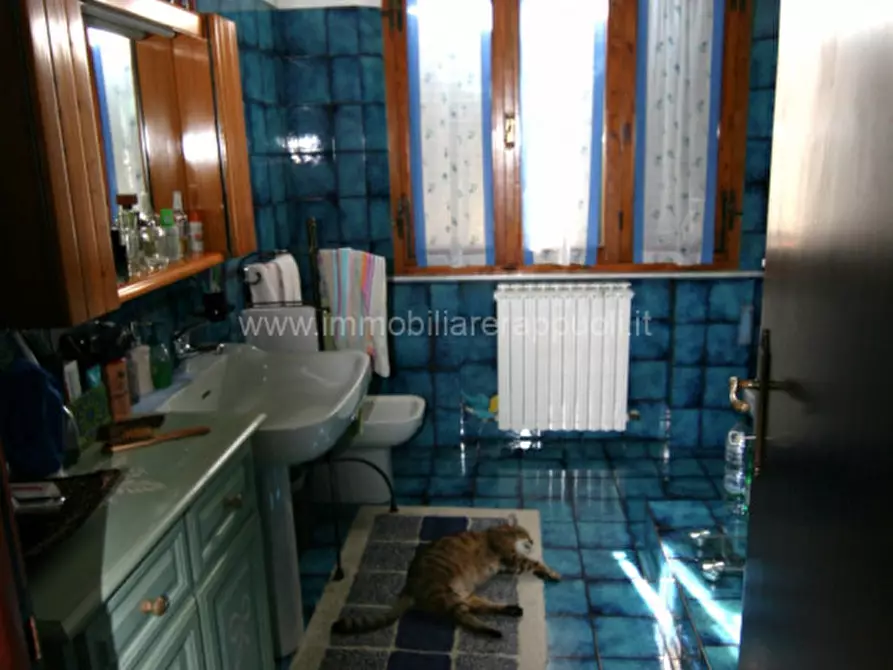 Immagine 9 di Appartamento in vendita  a Sinalunga