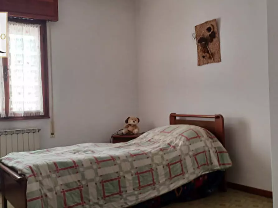 Immagine 19 di Palazzo in vendita  a Trecenta