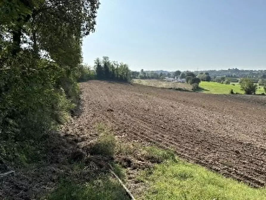 Immagine 1 di Terreno in vendita  in STRADA MOSCATELLO a Monzambano