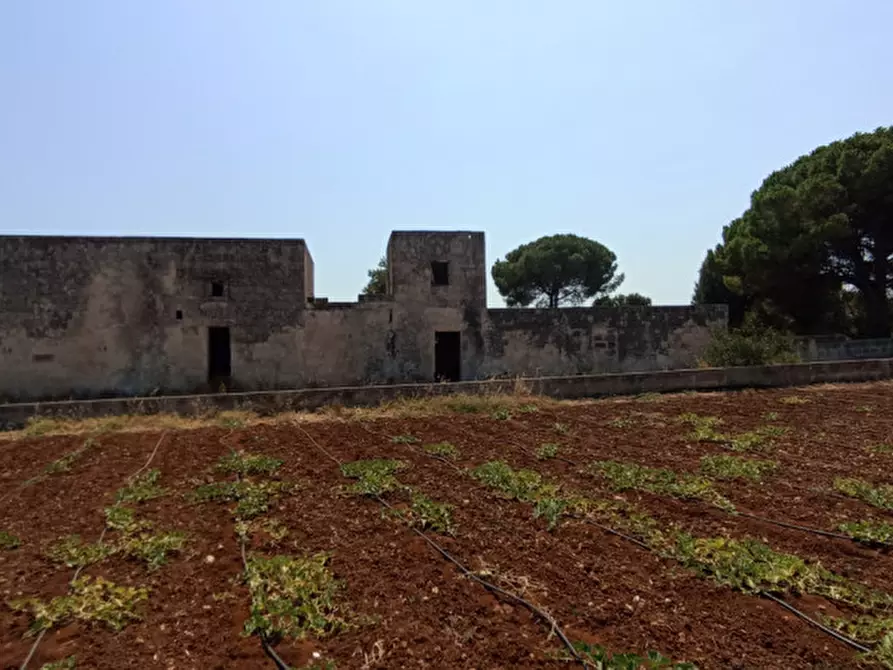 Immagine 28 di Rustico / casale in vendita  in NATU a Fasano