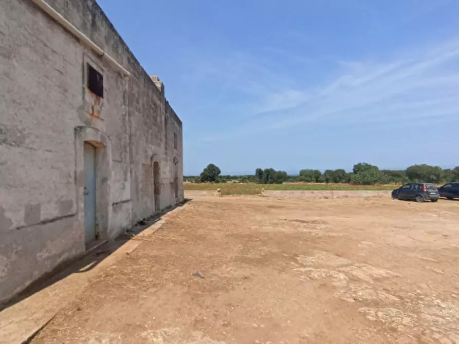 Immagine 33 di Rustico / casale in vendita  in NATU a Fasano