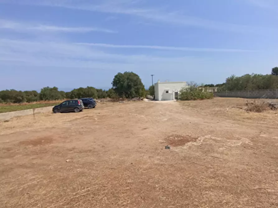 Immagine 34 di Rustico / casale in vendita  in NATU a Fasano