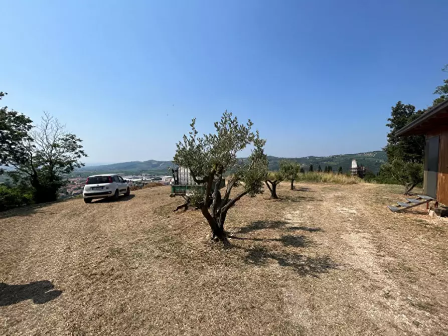 Immagine 2 di Terreno in vendita  a Tregnago