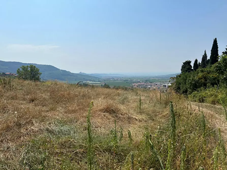 Immagine 3 di Terreno in vendita  a Tregnago