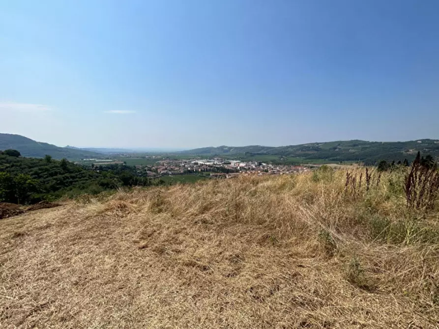 Immagine 4 di Terreno in vendita  a Tregnago